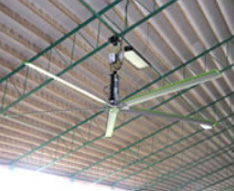 HVLS Fan located within an industrial plant being used for temperature control. 